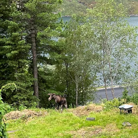 Konukevi Fjellutsikt Narvik
