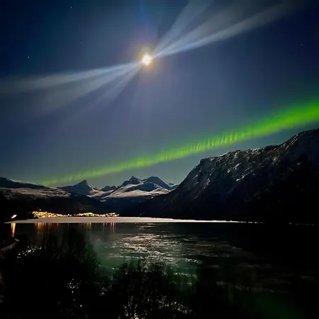 Fjellutsikt